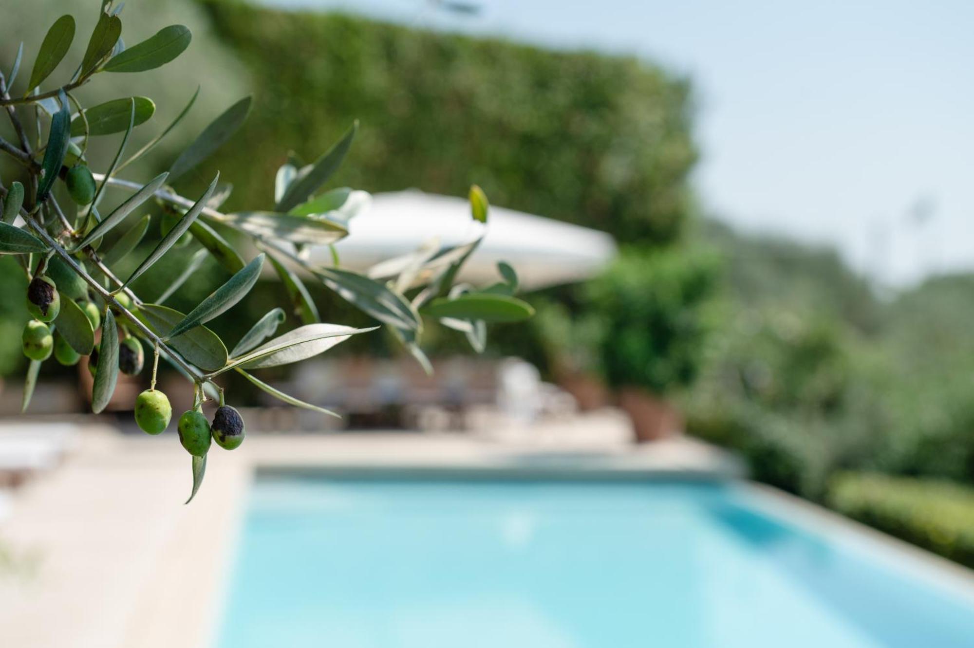 Villa Eden Forte Dei Marmi With Private Infinity Pool Santa Lucia  Luaran gambar