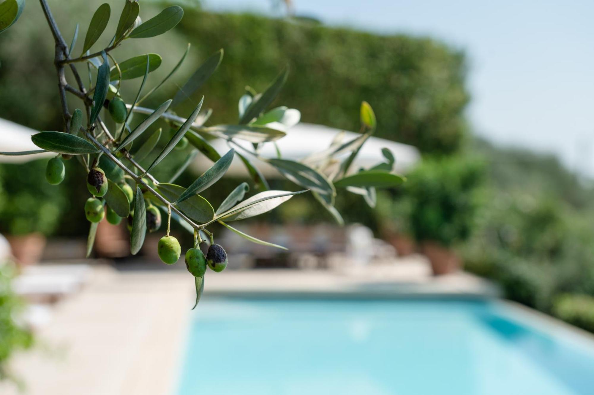 Villa Eden Forte Dei Marmi With Private Infinity Pool Santa Lucia  Luaran gambar
